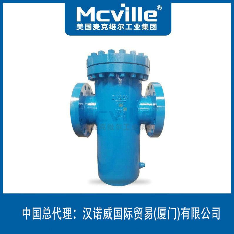進口籃式過濾器
