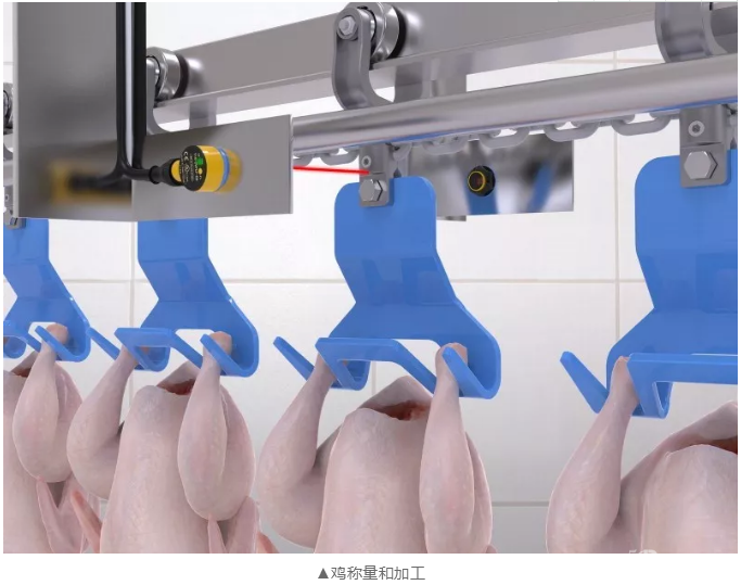 邦納發(fā)布T18-2 新一代抗沖洗的高性能光電傳感器