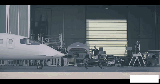 視頻：比波士頓動力還厲害，Hyqreal機器狗能拉動3噸重飛機