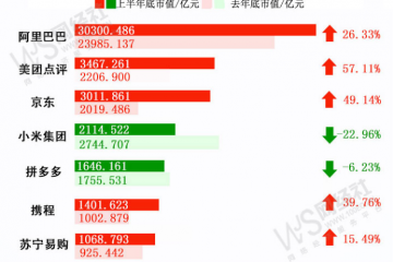 《2019上半年中國電商上市公司市值排行榜》發布