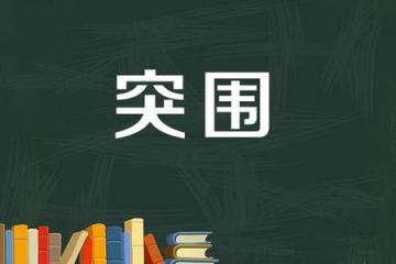各方穩外貿“有力道” 多舉措助企業困境中突圍