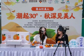 阿里巴巴這個重大升級，將為你的家鄉(xiāng)帶來什么新機會？