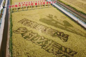 “快遞進(jìn)村”大利好！被寫入2022年中央一號(hào)文件
