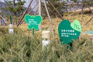 以“數”為基，京東科技服務雄安新區“人城數”協同發展