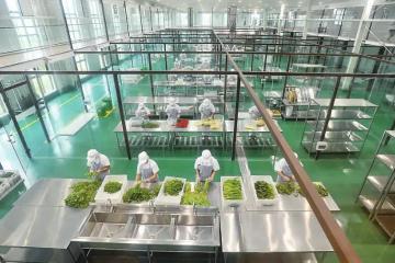 中原智慧冷鏈物流園項(xiàng)目開工，總投資26.8億元