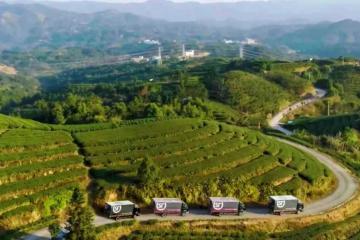 順豐深入原產地助力春茶香飄全國！