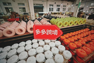 挑起大梁，Temu的出海遠(yuǎn)征