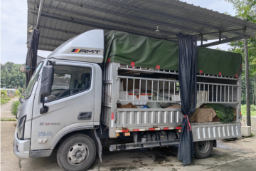 油耗堪比一輛家用SUV，歐馬可自動擋用實力征服20年駕齡老司機