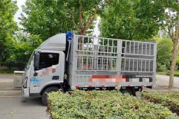 不限行、真能省！歐馬可智藍(lán)、混動輕卡完美解決城配小伙運輸痛點