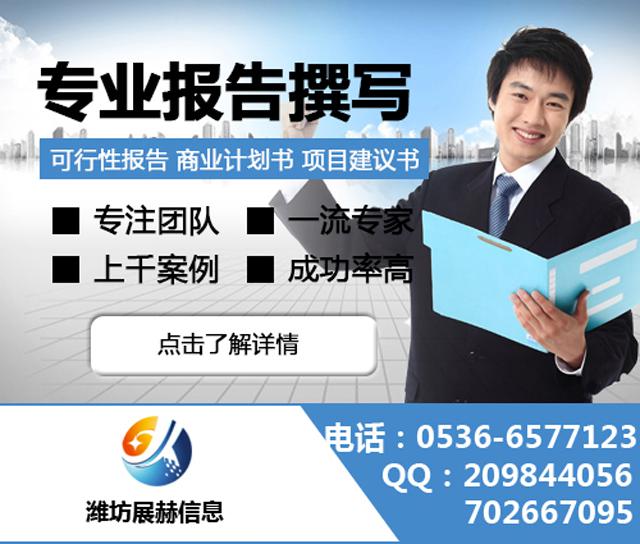 代寫融資計(jì)劃書,代寫商業(yè)計(jì)劃書，代寫可行性報(bào)告，代寫政府立項(xiàng)報(bào)告