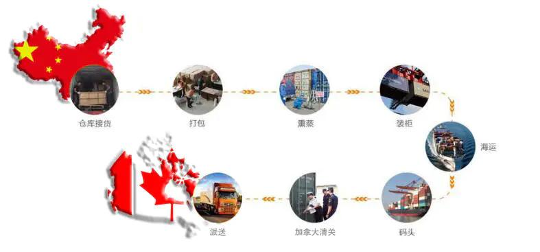 中國運輸貨物到加拿大的流程和手續