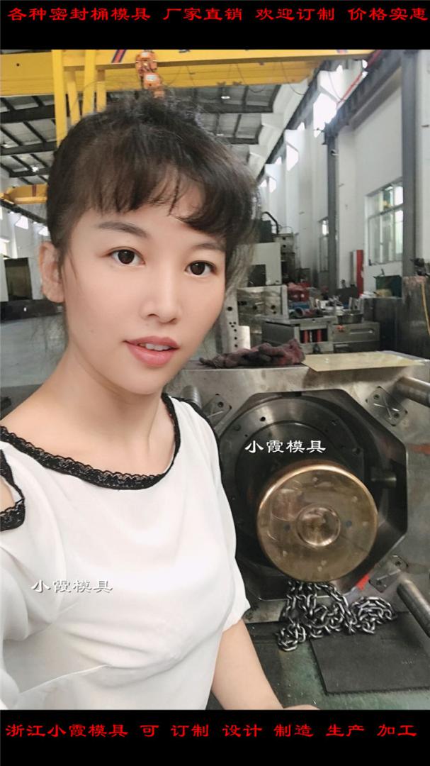 專業做20L乳膠桶注塑模具廠家