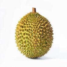 廣東進(jìn)口馬來西亞貓山王金枕榴蓮原箱整件冷凍榴蓮報(bào)關(guān)清關(guān)