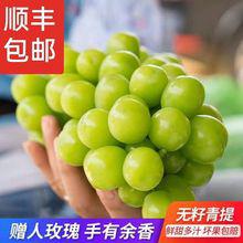 進口日本網紅水果生鮮晴王陽光玫瑰葡萄現采現摘青島港報關