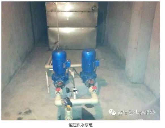 圖3.jpg