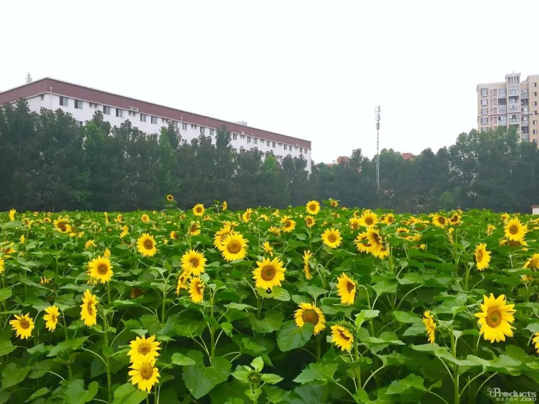 微信圖片_20200730162926.jpg